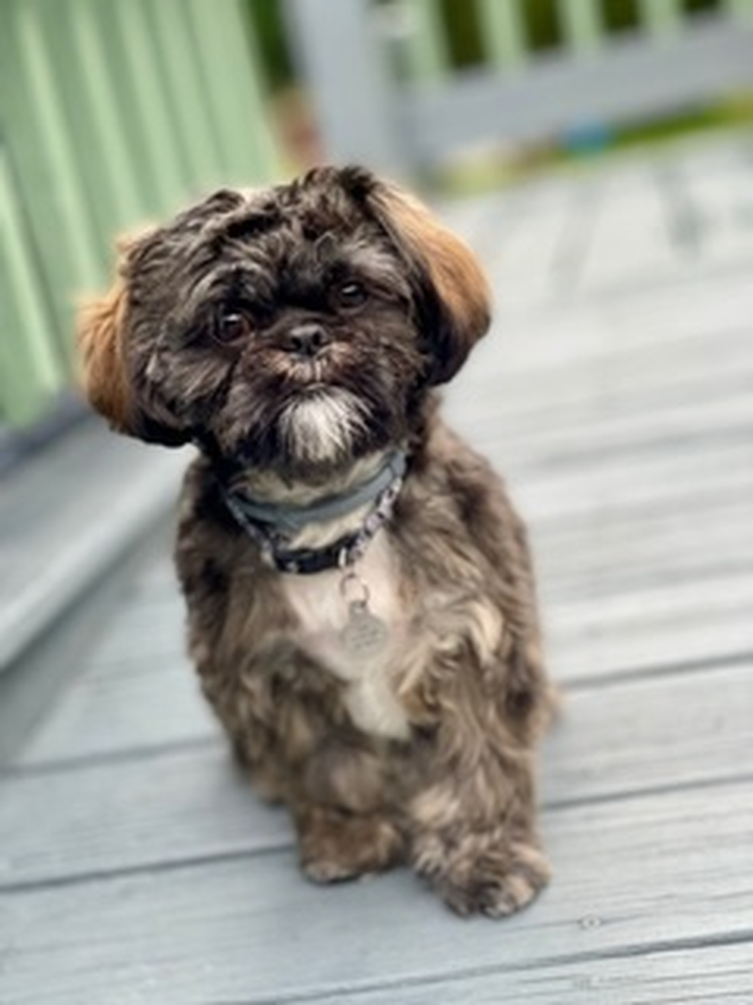 Smart Pest Control Service, Inc. - Middleboro, MA