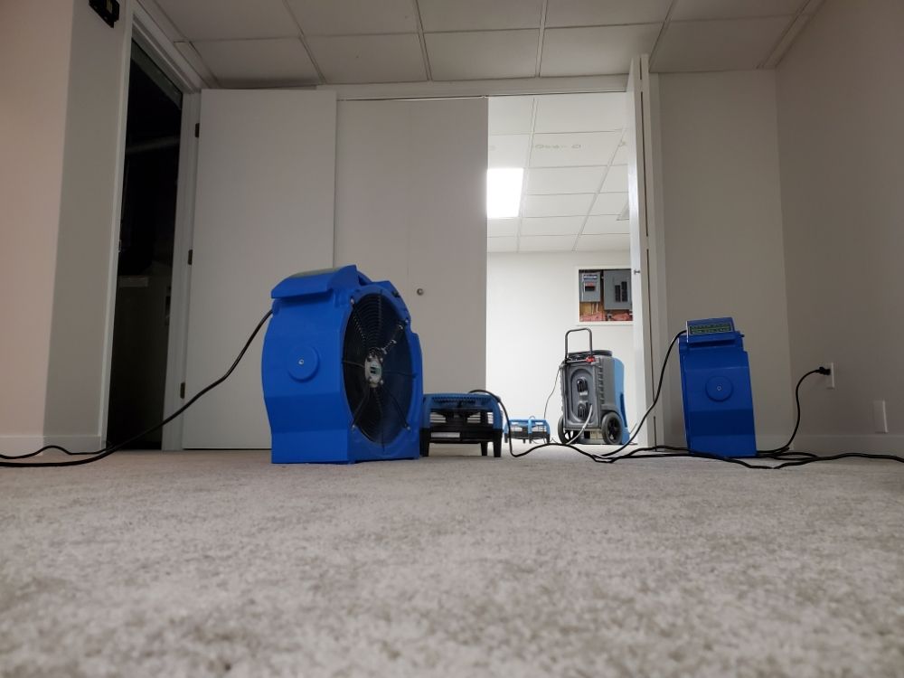 Steam Plus Cleaning and Restoration Image