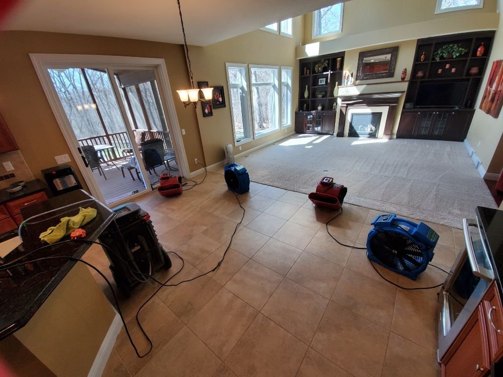 Steam Plus Cleaning and Restoration Image