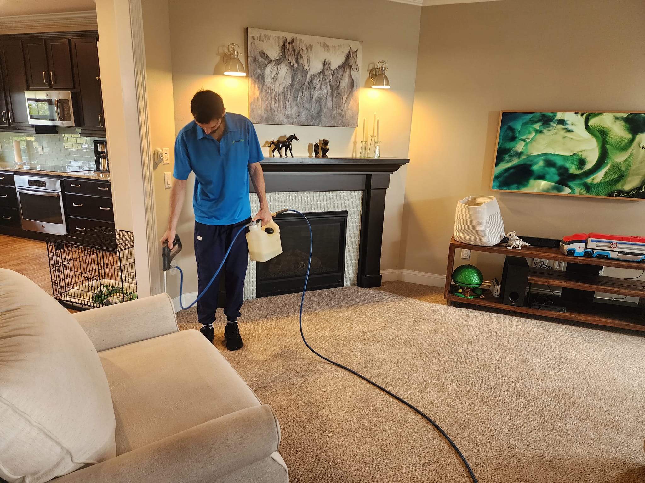 Steam Plus Cleaning and Restoration Image