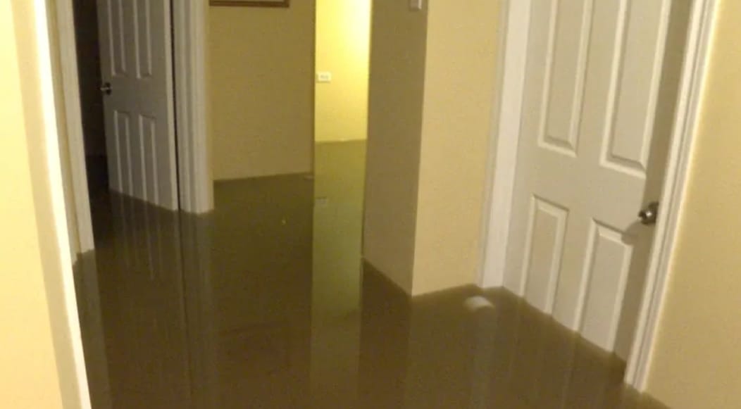 Steam Plus Cleaning and Restoration Image