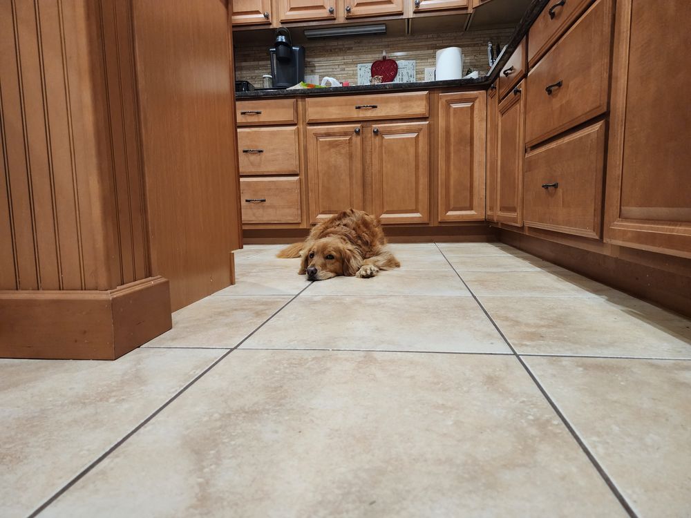 Steam Plus Cleaning and Restoration Image