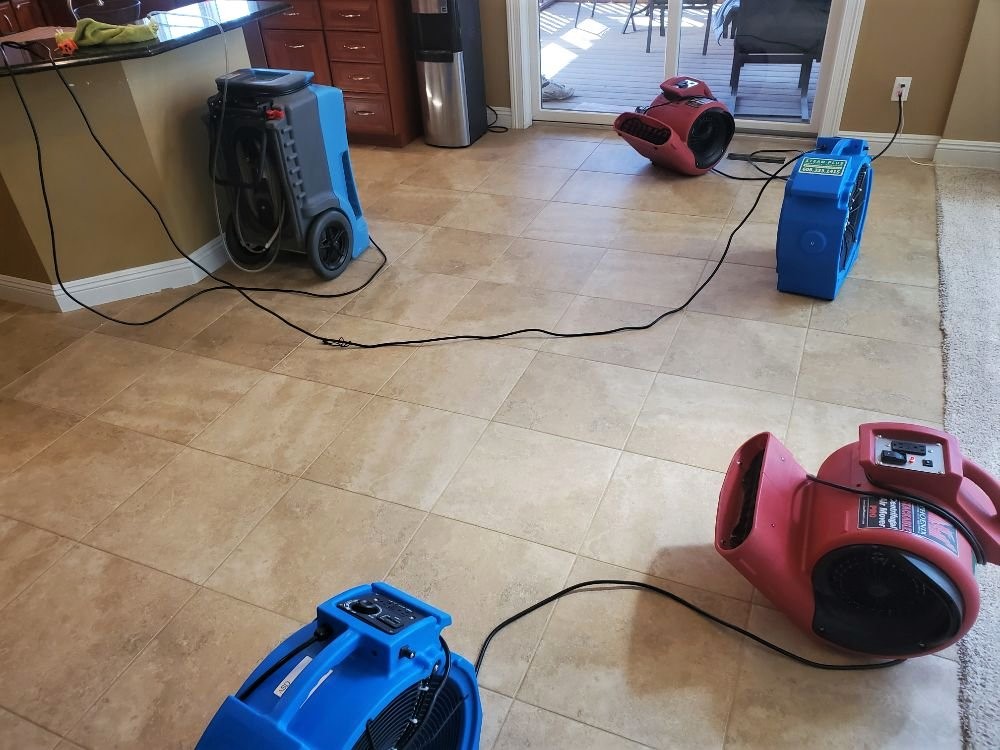 Steam Plus Cleaning and Restoration Image