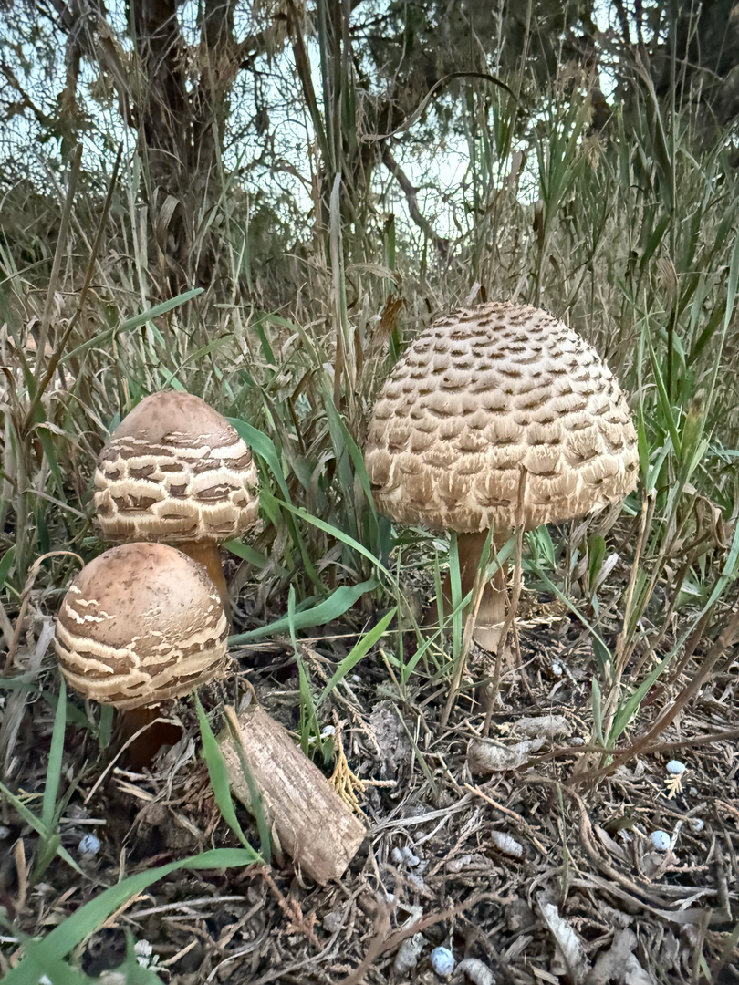 Aspen Creek Heating & Air Image