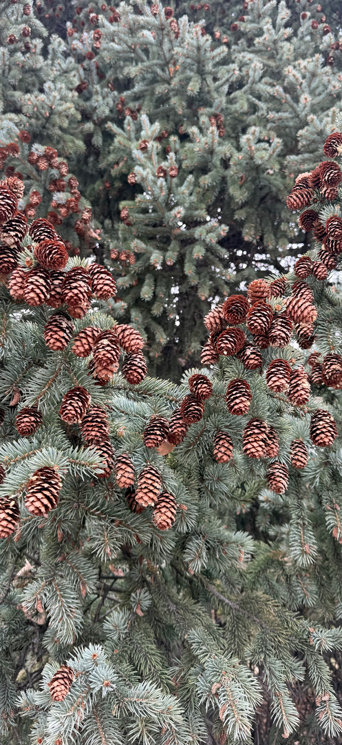 Aspen Creek Heating & Air Image