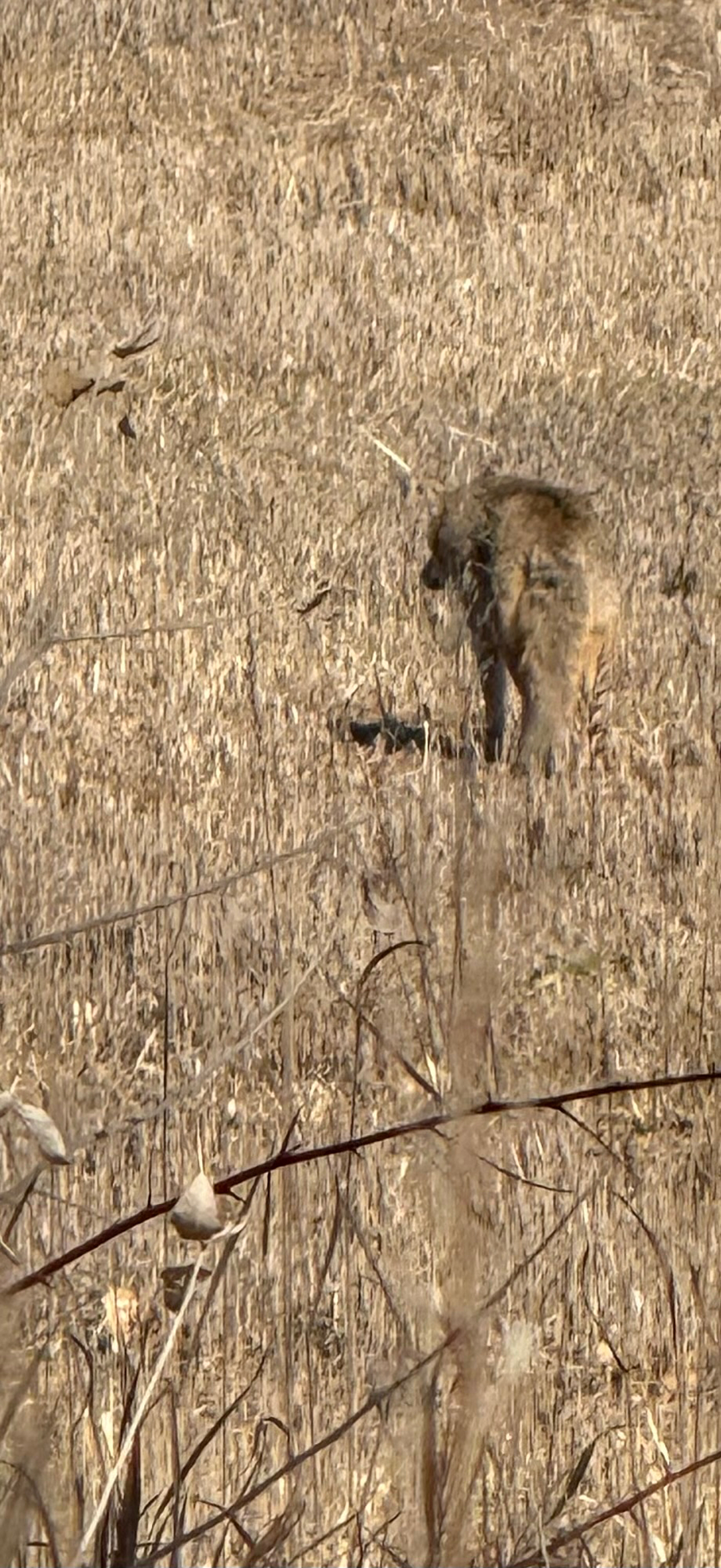 Aspen Creek Heating & Air Image