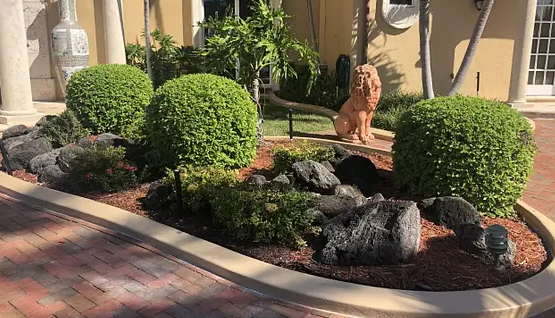 Romy Landscaping Design & Borders Image