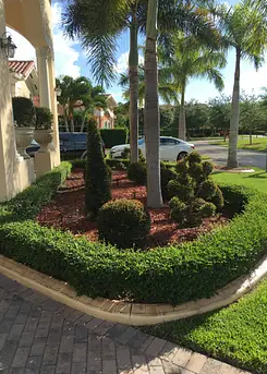 Romy Landscaping Design & Borders Image