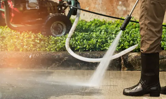 Romy Landscaping Design & Borders Image