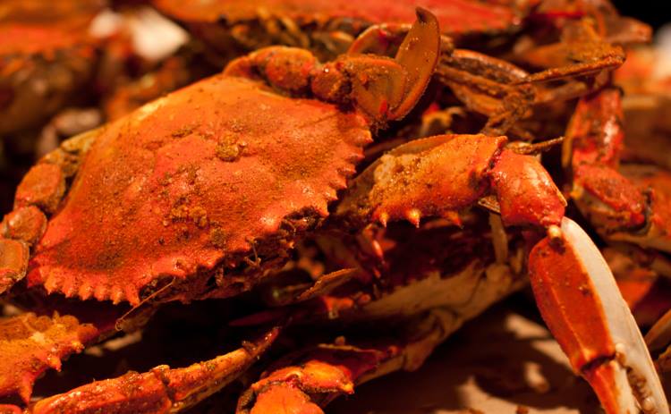 The River Shack Image