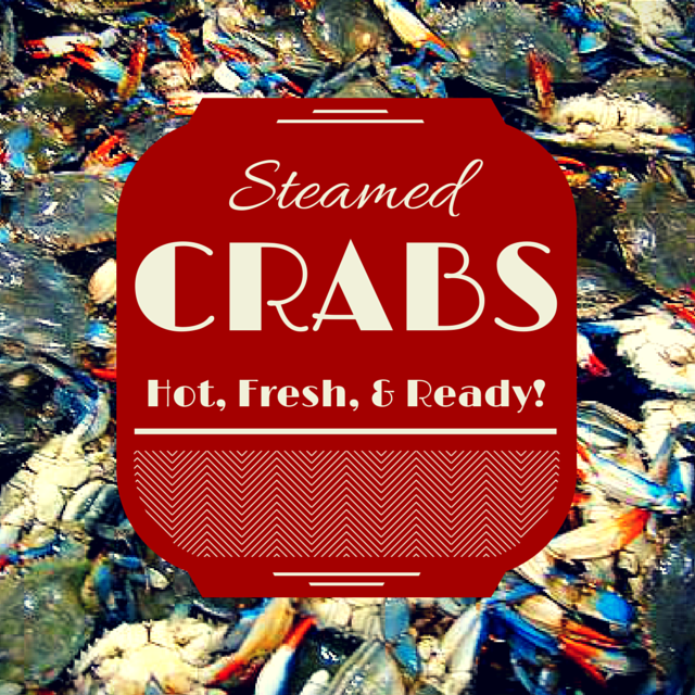 The River Shack Image