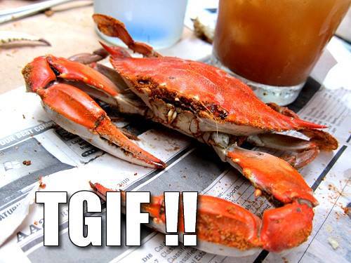 The River Shack Image