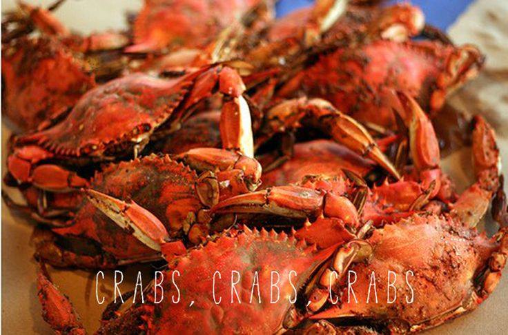 The River Shack Image