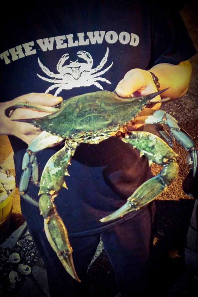 The River Shack Image