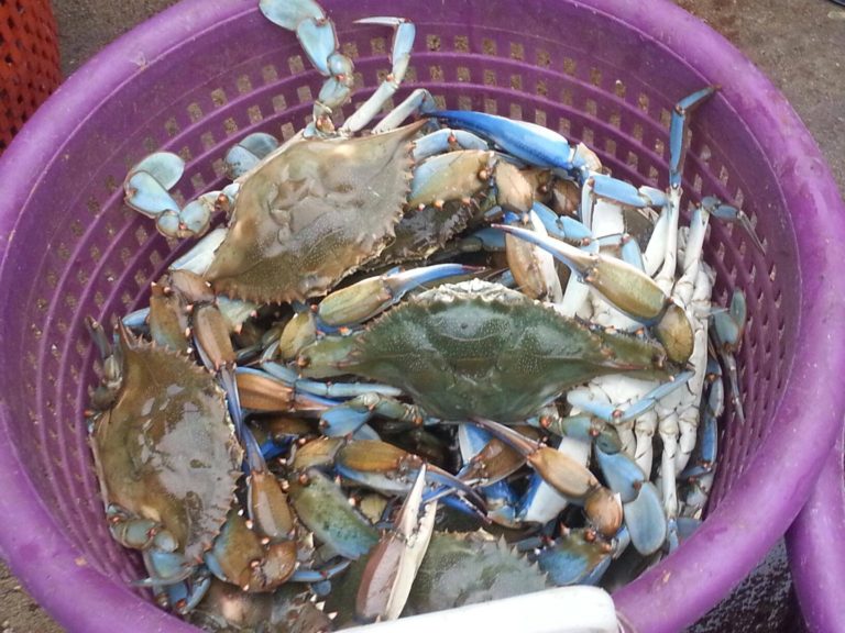 The River Shack Image