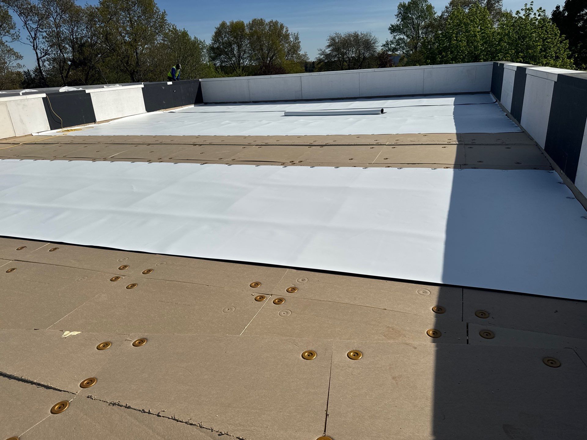 MM Dynamic of New York Image