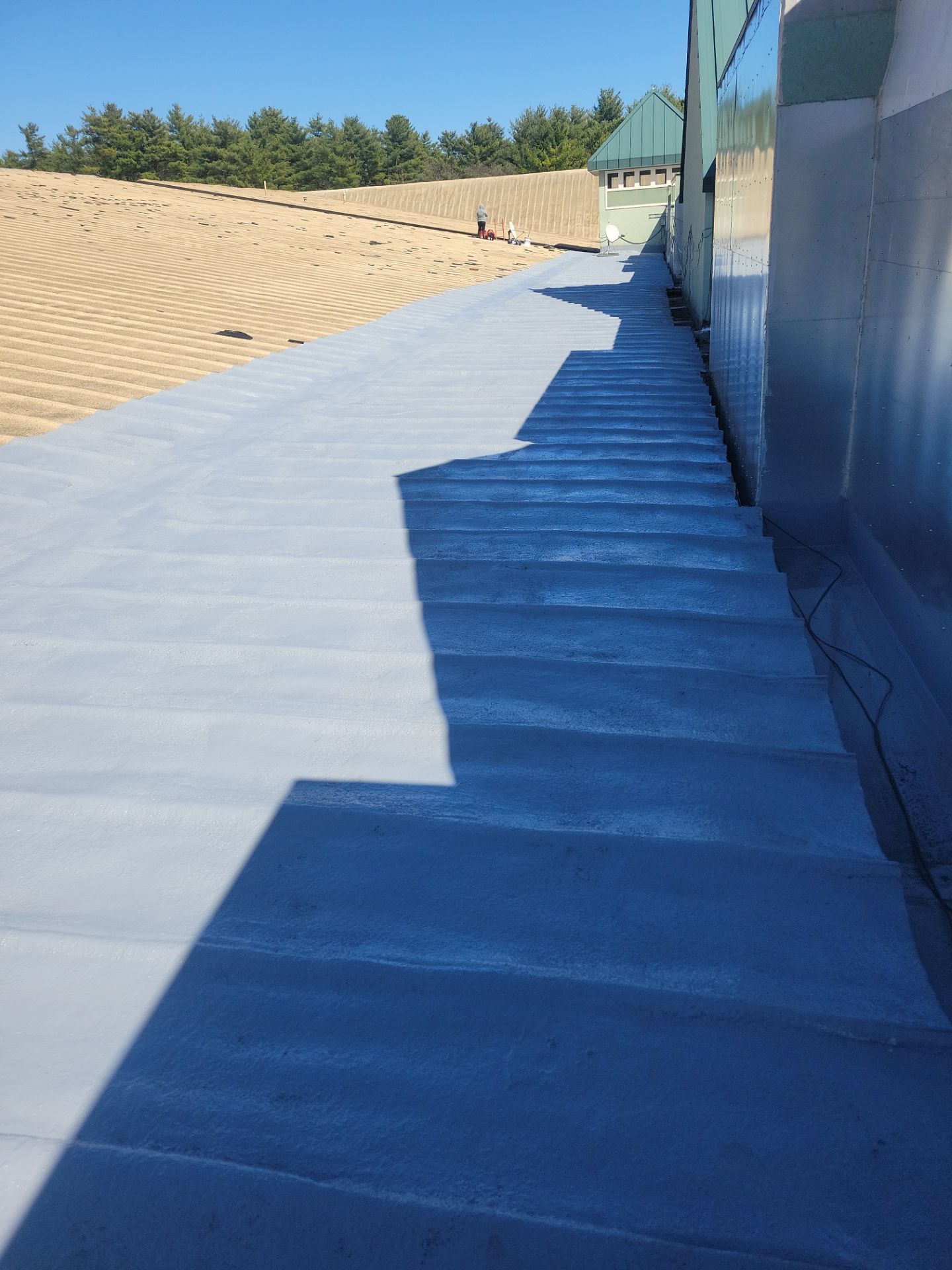 MM Dynamic of New York Image