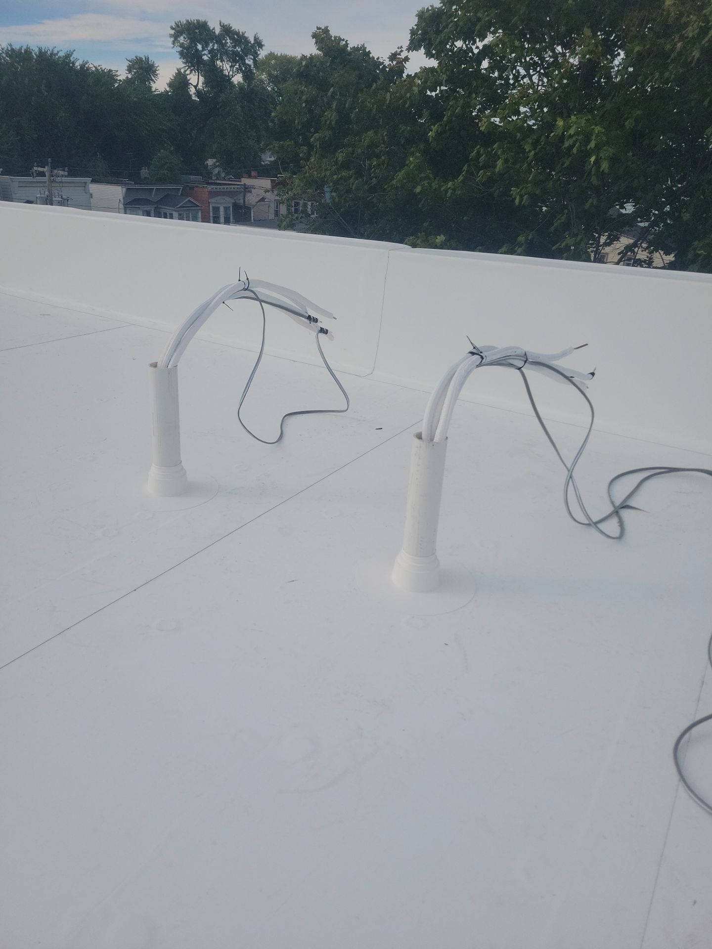 MM Dynamic of New York Image