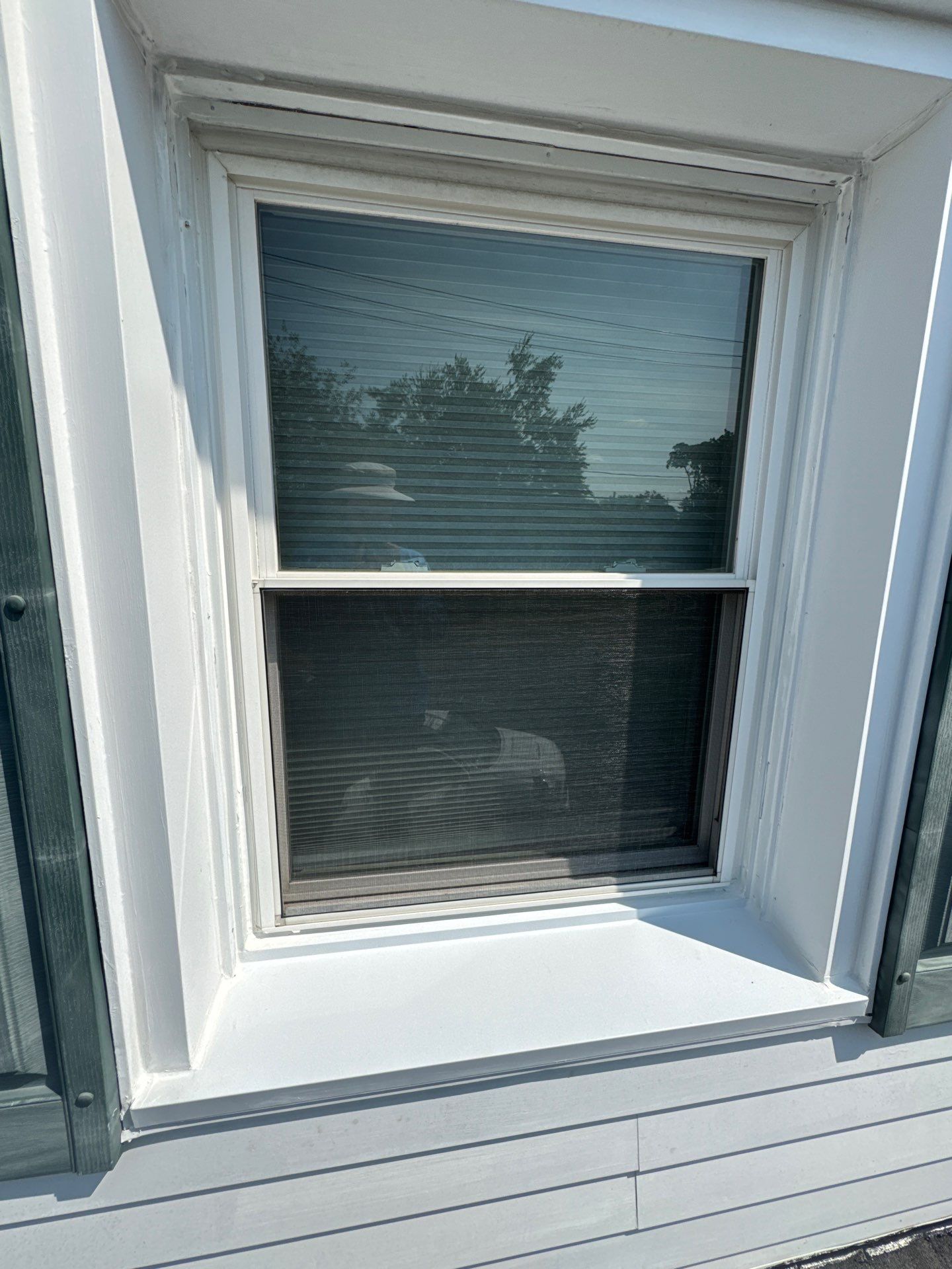 MM Dynamic of New York Image