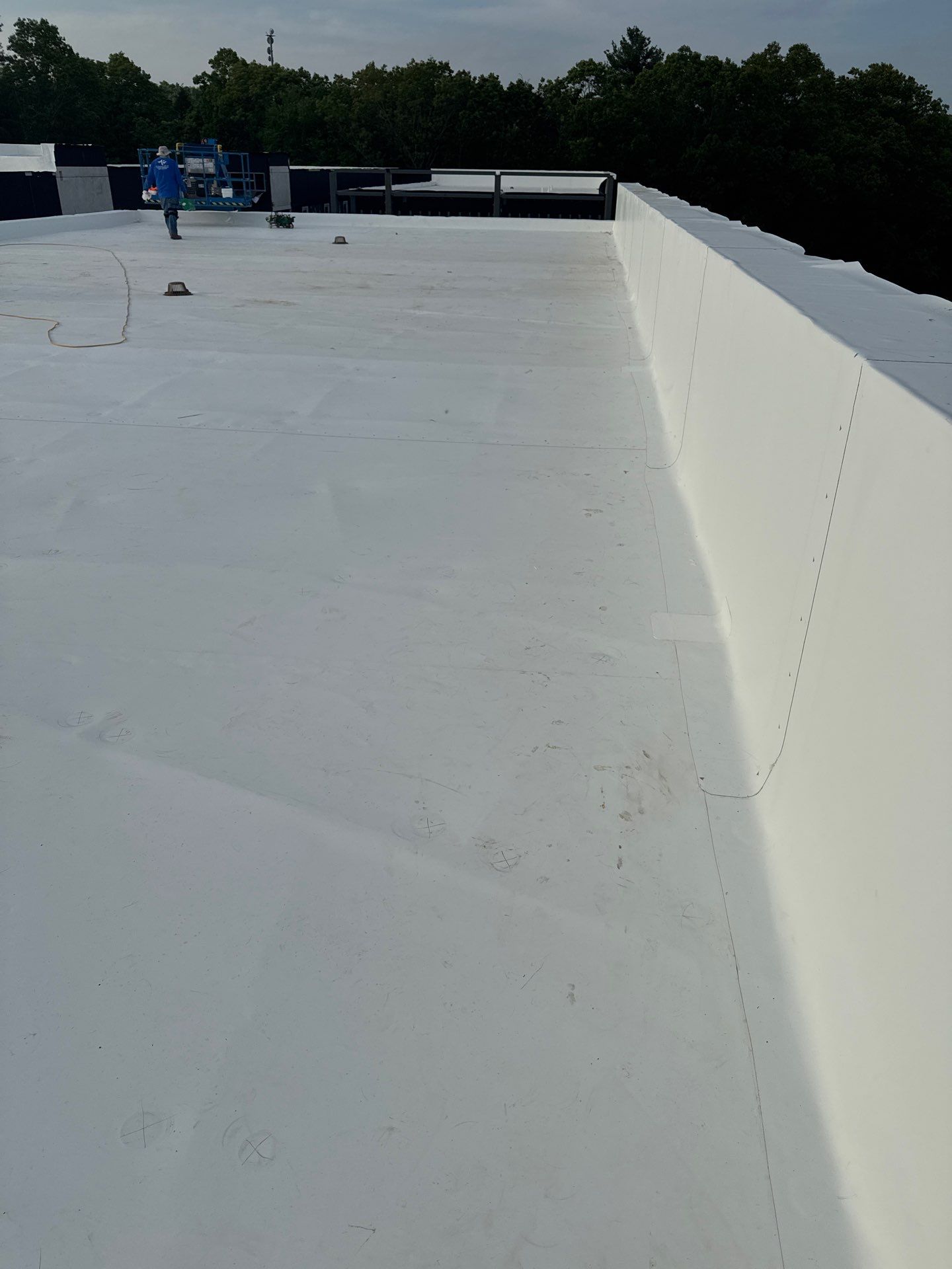 MM Dynamic of New York Image