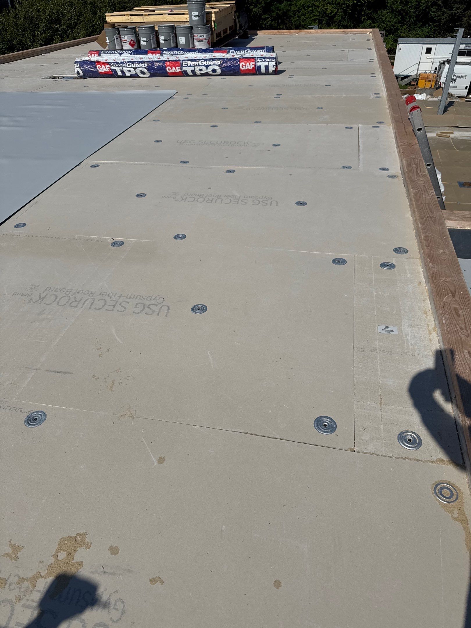 MM Dynamic of New York Image