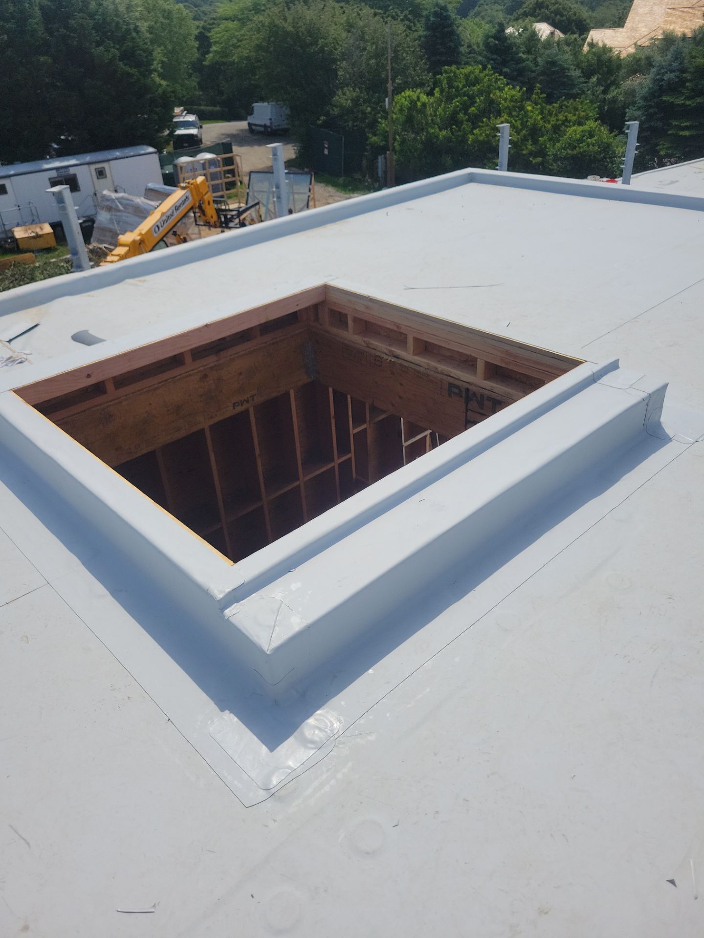 MM Dynamic of New York Image