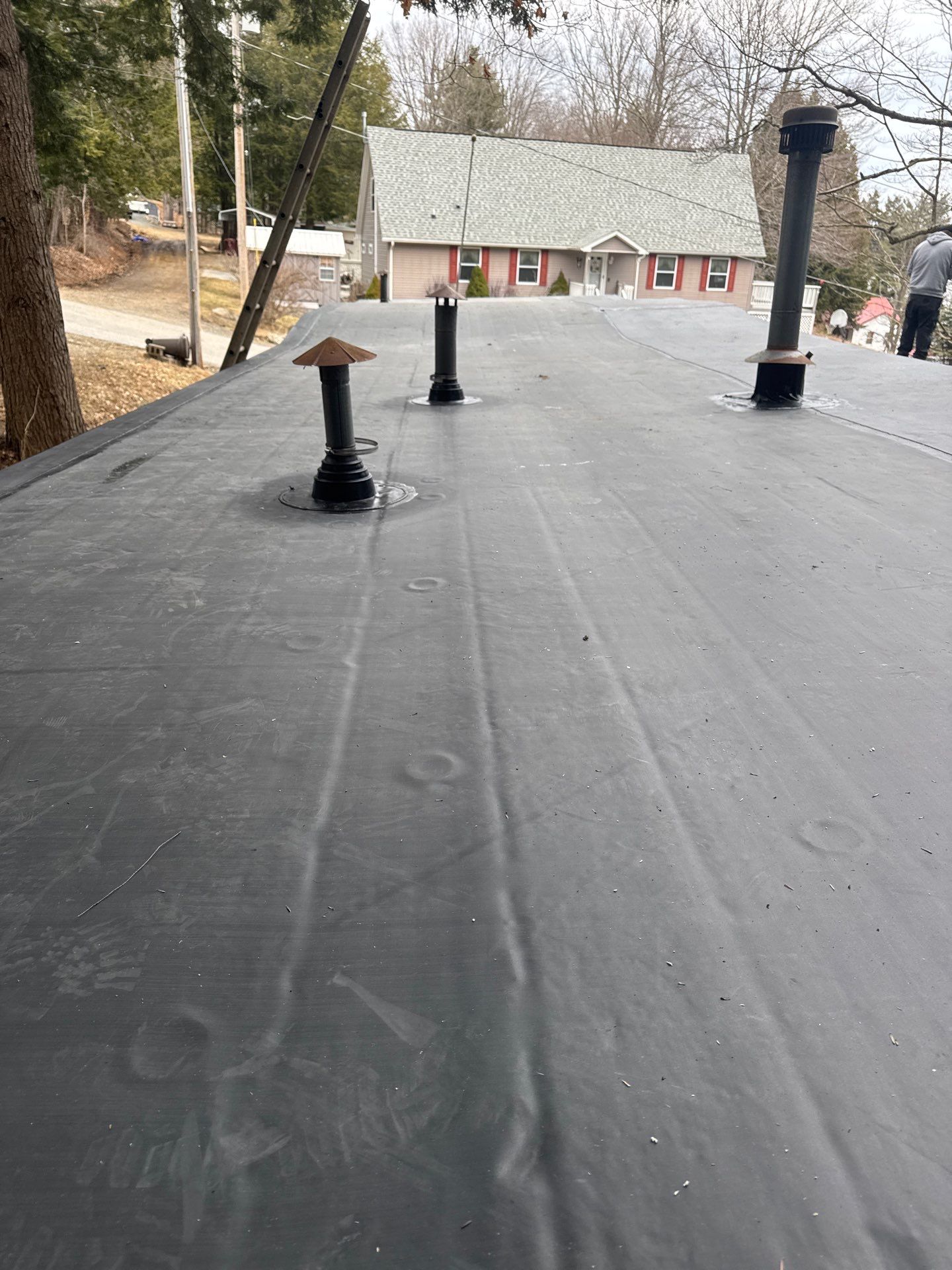 MM Dynamic of New York Image