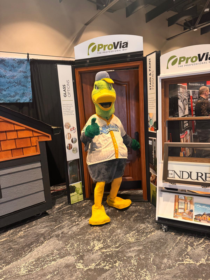 Infinity Exteriors Image