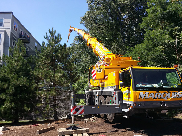 Marquis Tree Service - North Billerica, MA