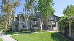 Briarwood Apartments - Sunnyvale, CA