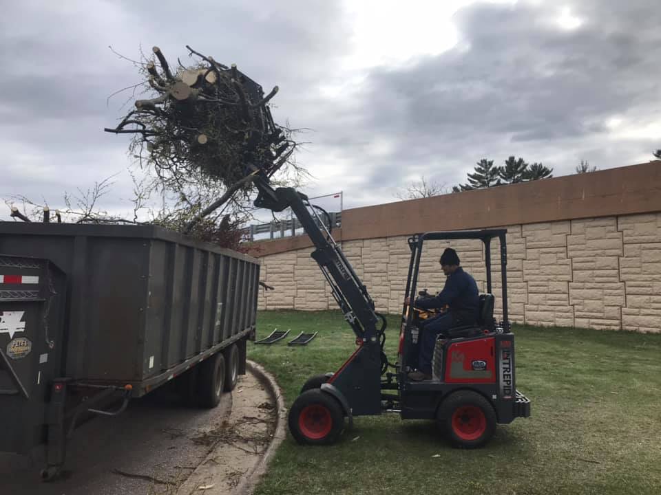 Beaver Tree N Stump Removal - Arpin, WI