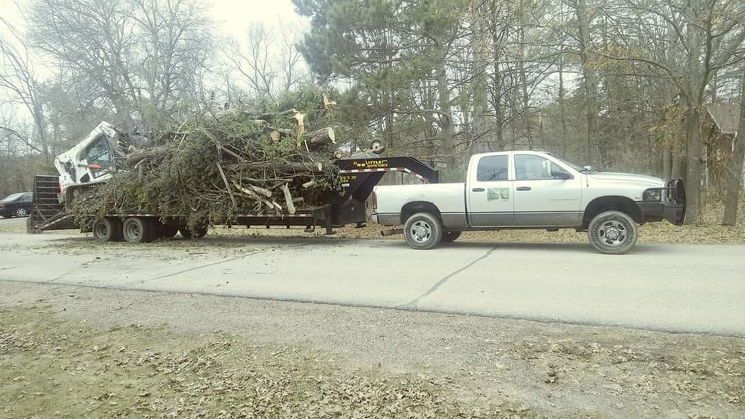 Beaver Tree N Stump Removal - Arpin, WI