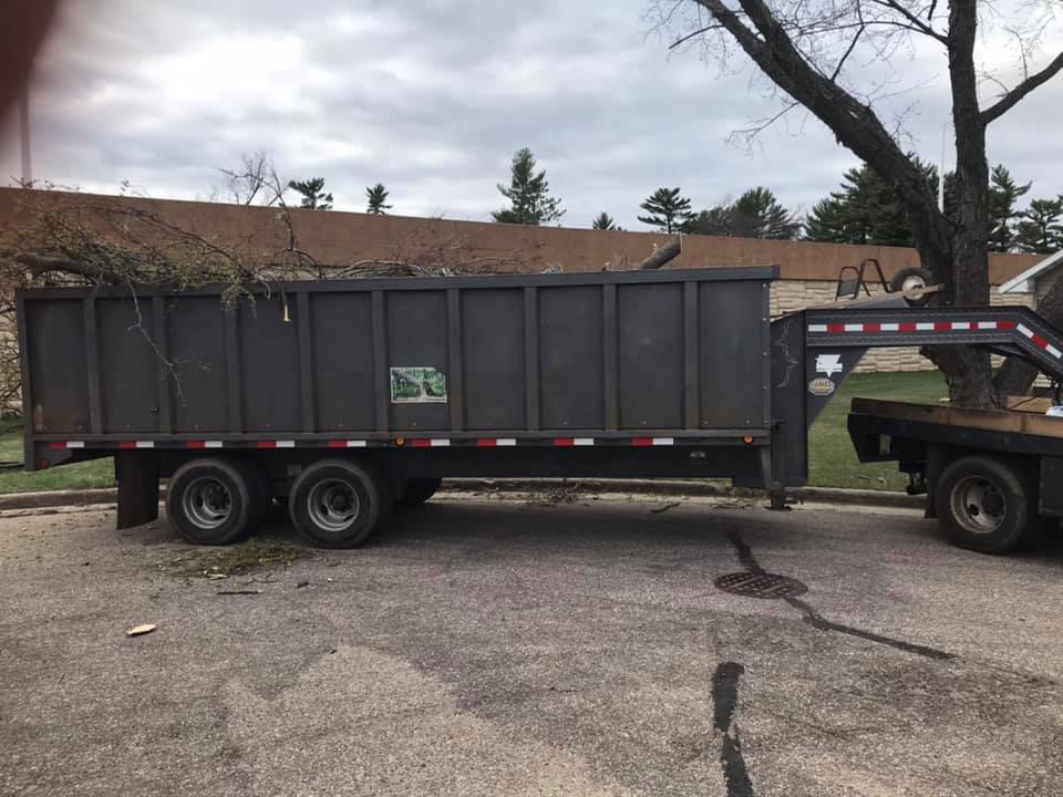 Beaver Tree N Stump Removal - Arpin, WI