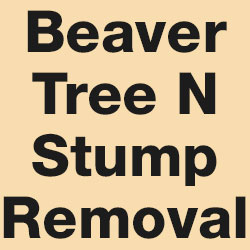 Beaver Tree N Stump Removal - Arpin, WI