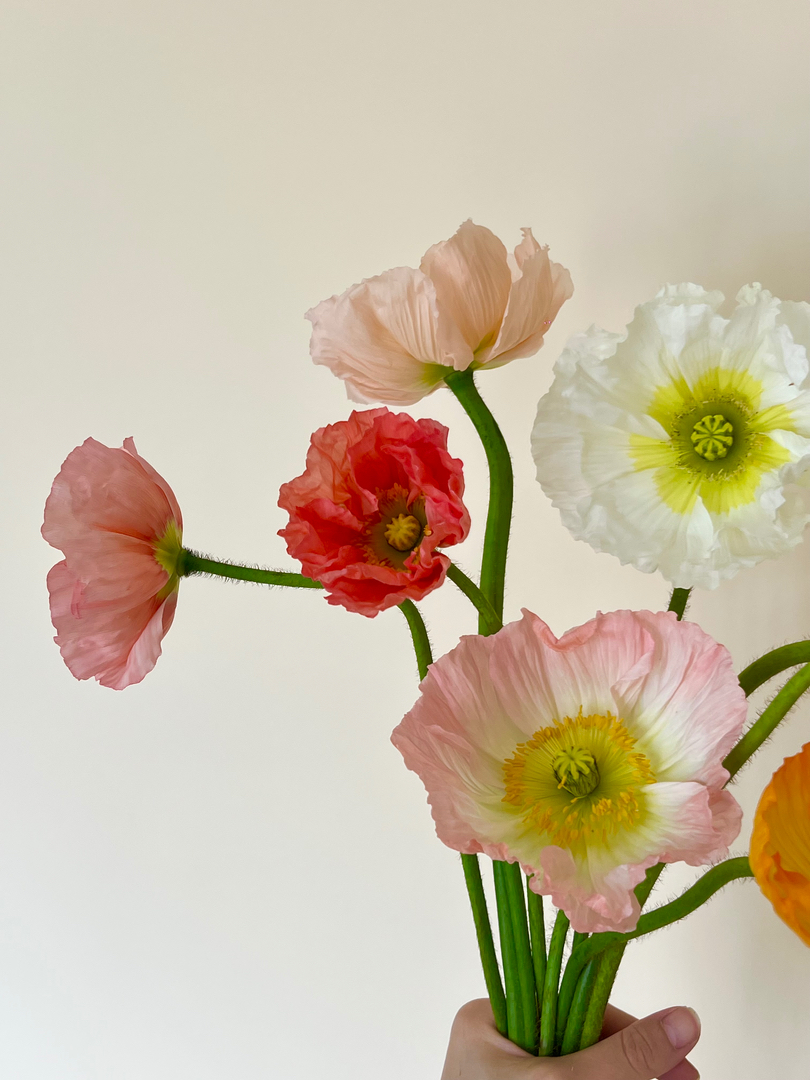 William Paul Floral Design Image