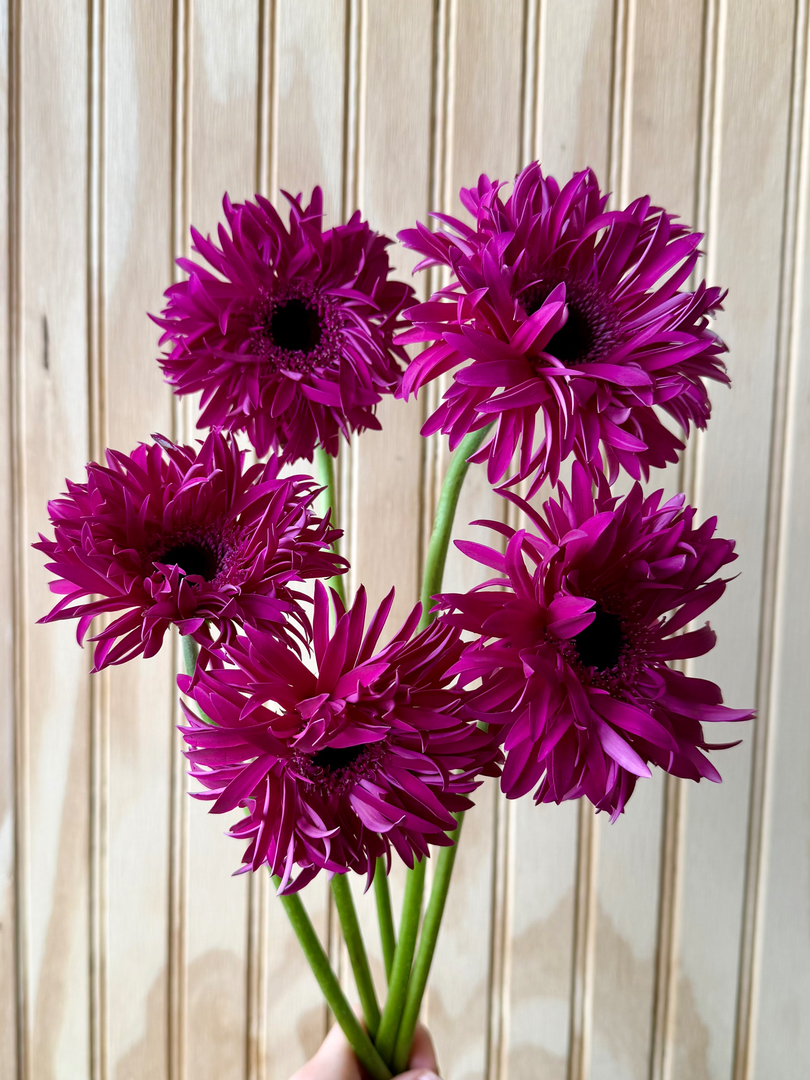 William Paul Floral Design Image