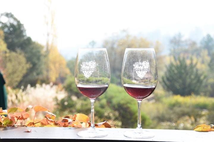 Hans Fahden Vineyards Image