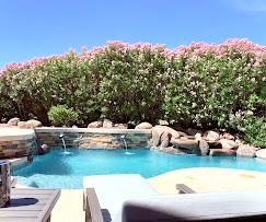 Above & Beyond Pool Remodeling Image