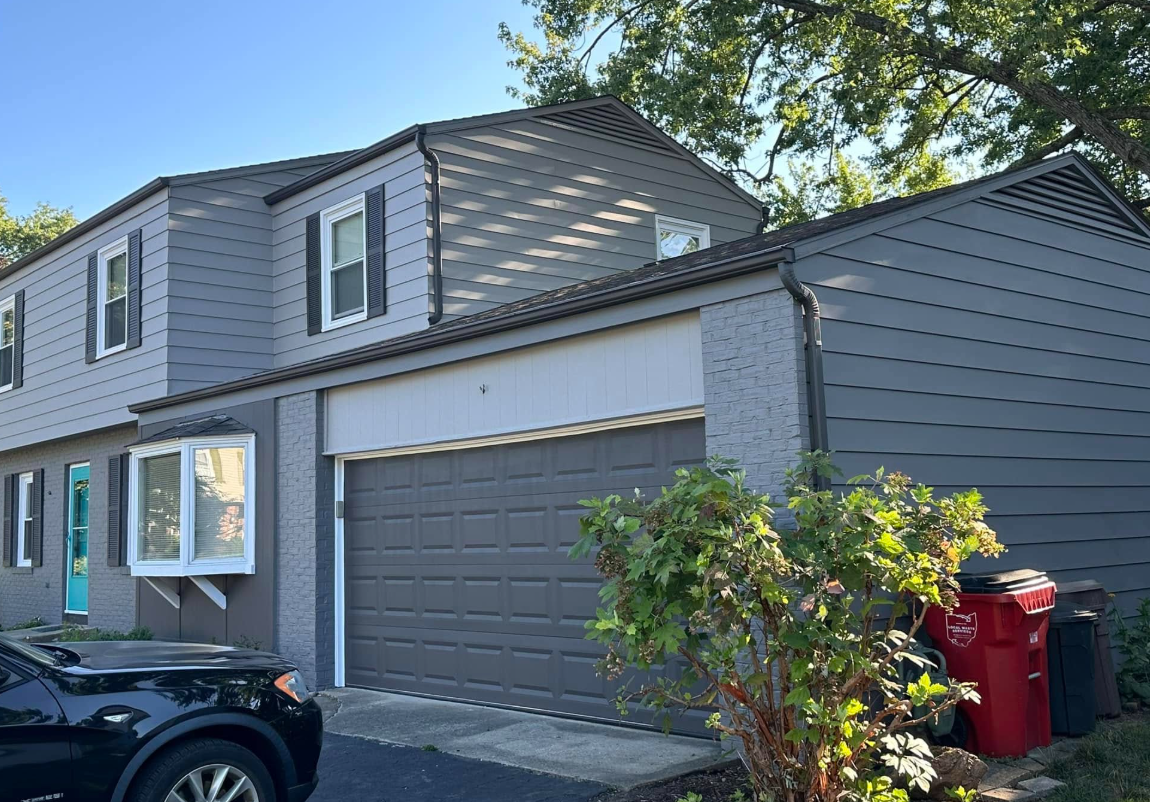 Profect Painter Image