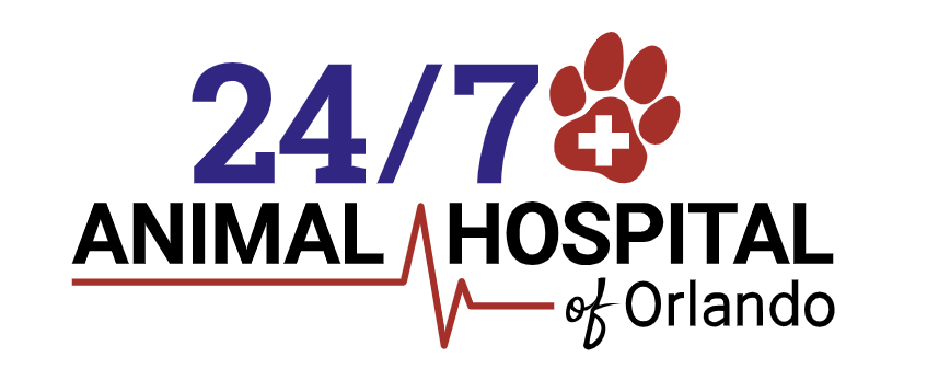 24/7 Animal Hospital of Orlando Logo