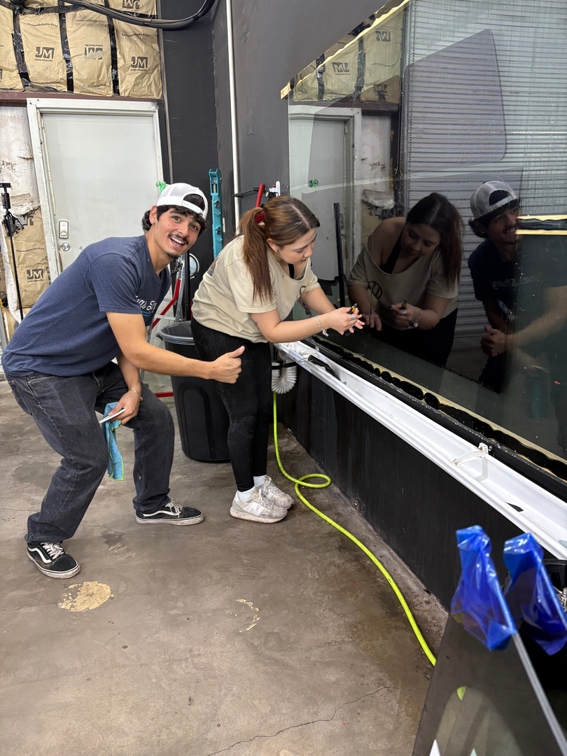 Onyx Tint L.L.C Image