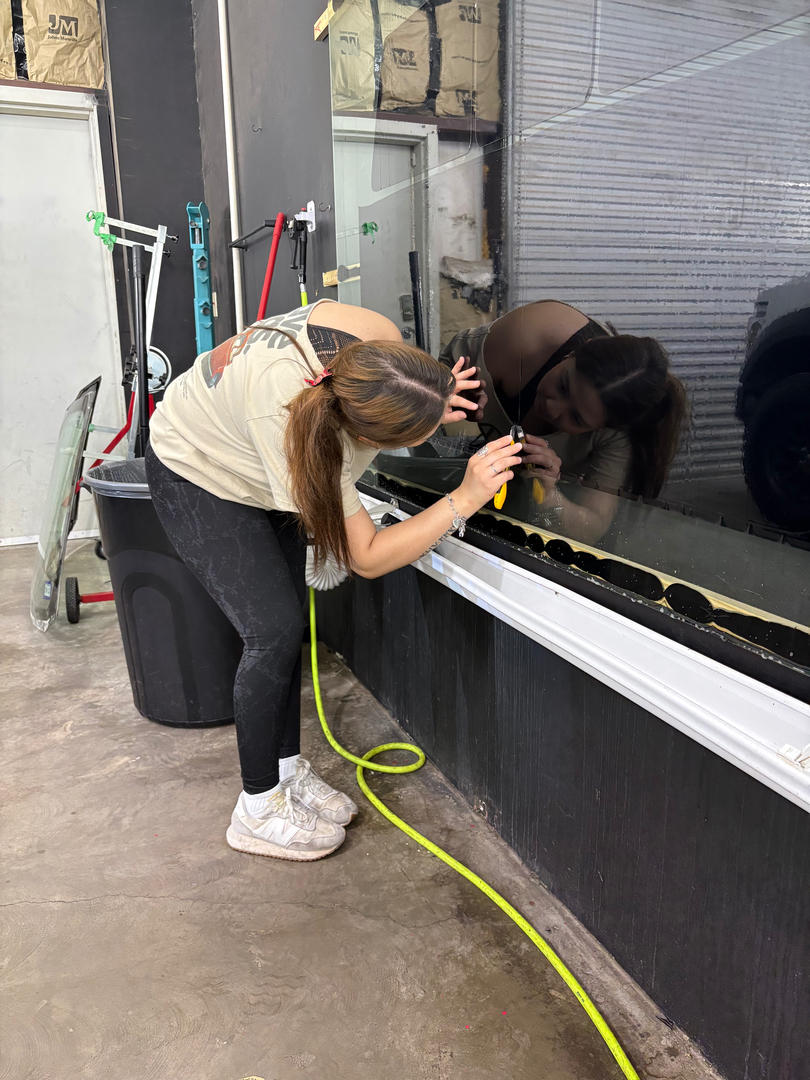 Onyx Tint L.L.C Image