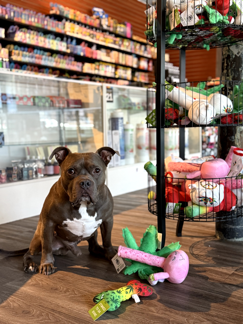 King's Smoke &amp; Vape Logo