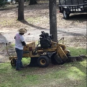 D & T Tree Service LLC - Mineola, TX