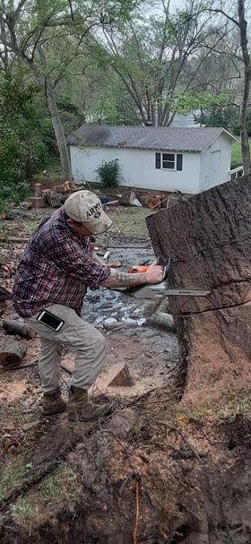 D & T Tree Service LLC - Mineola, TX