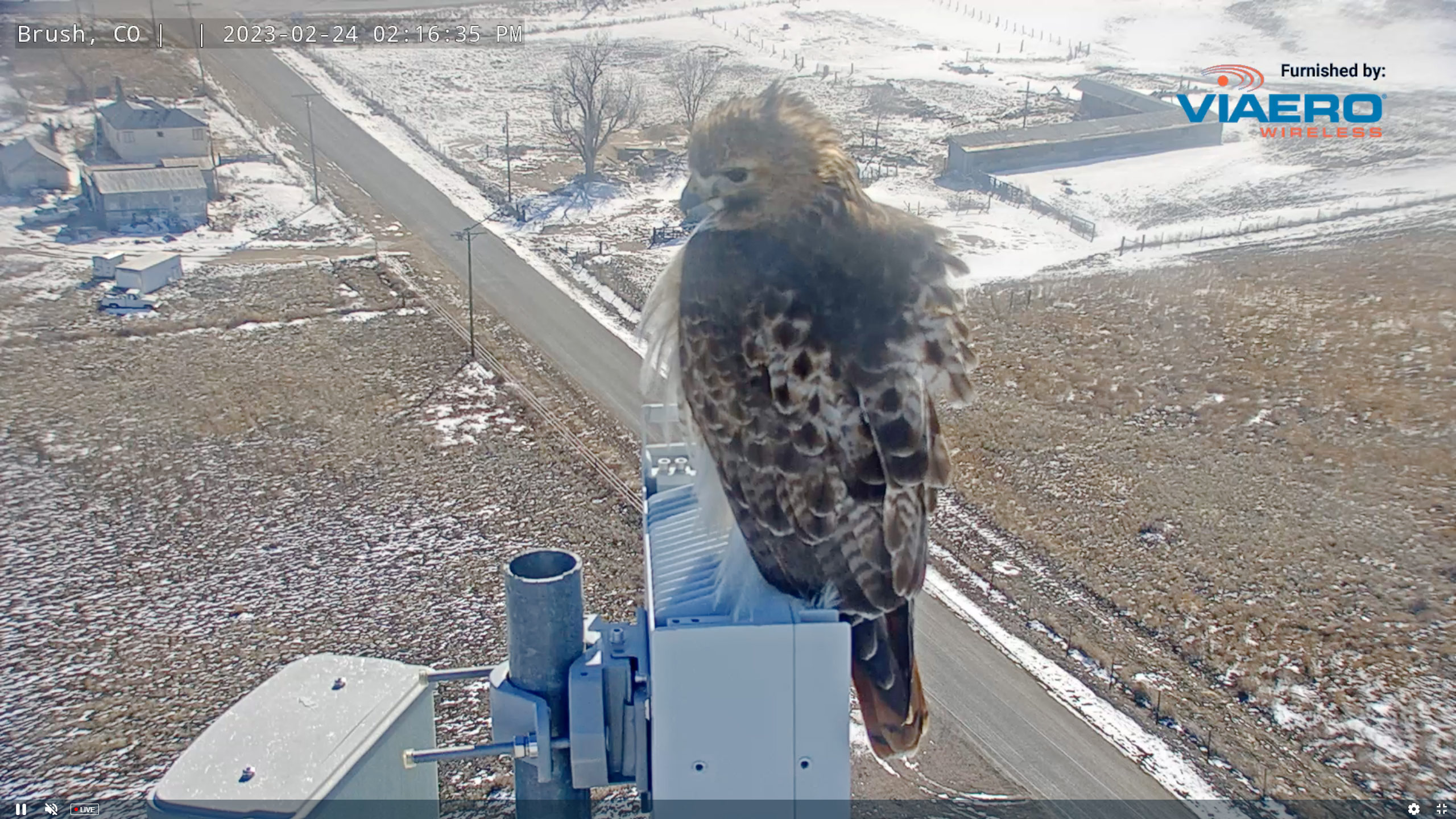 Viaero Wireless Image