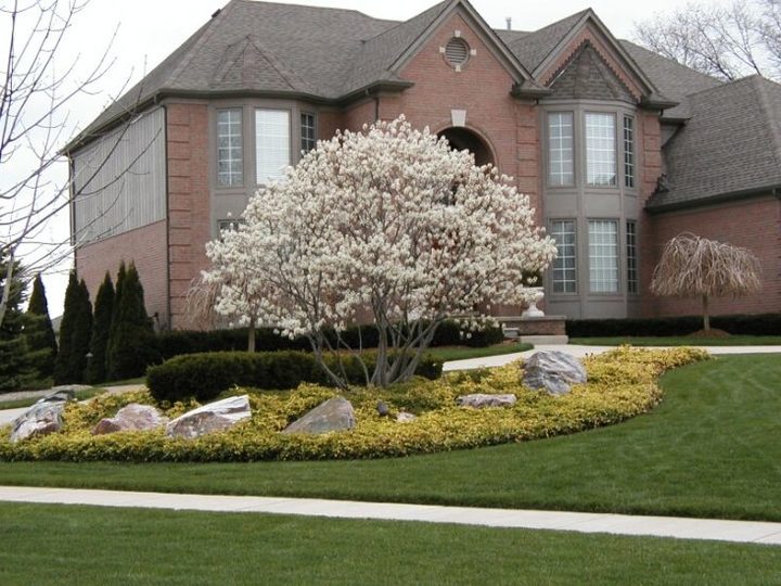 Berns Landscaping Image