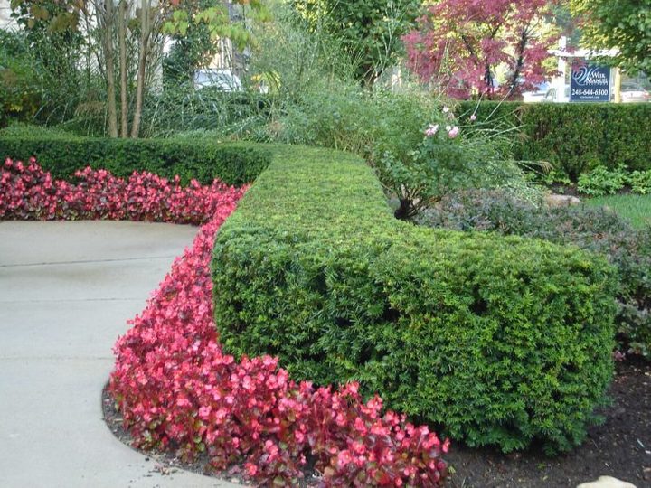 Berns Landscaping Image