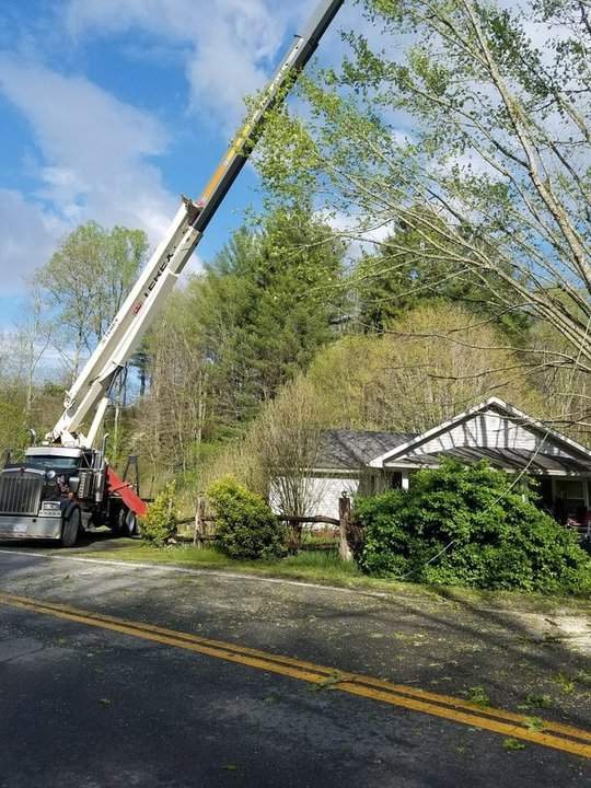 Los Romero's Tree Service - Burnsville, NC