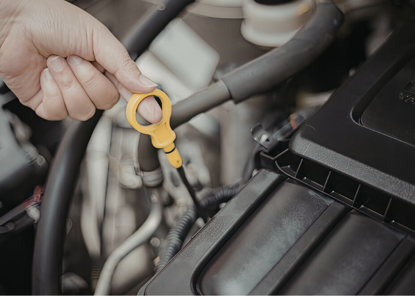 Matrix Auto Service, Engine & Transmission - Pensacola, FL